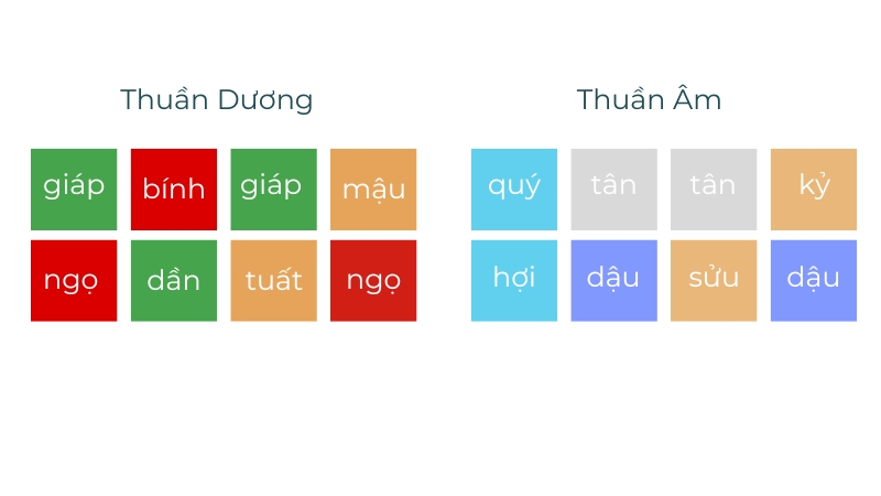 Giải mã Bát tự thuần Âm – thuần Dương, rốt cuộc là “người được trời chọn” hay “cô sát chi mệnh”?