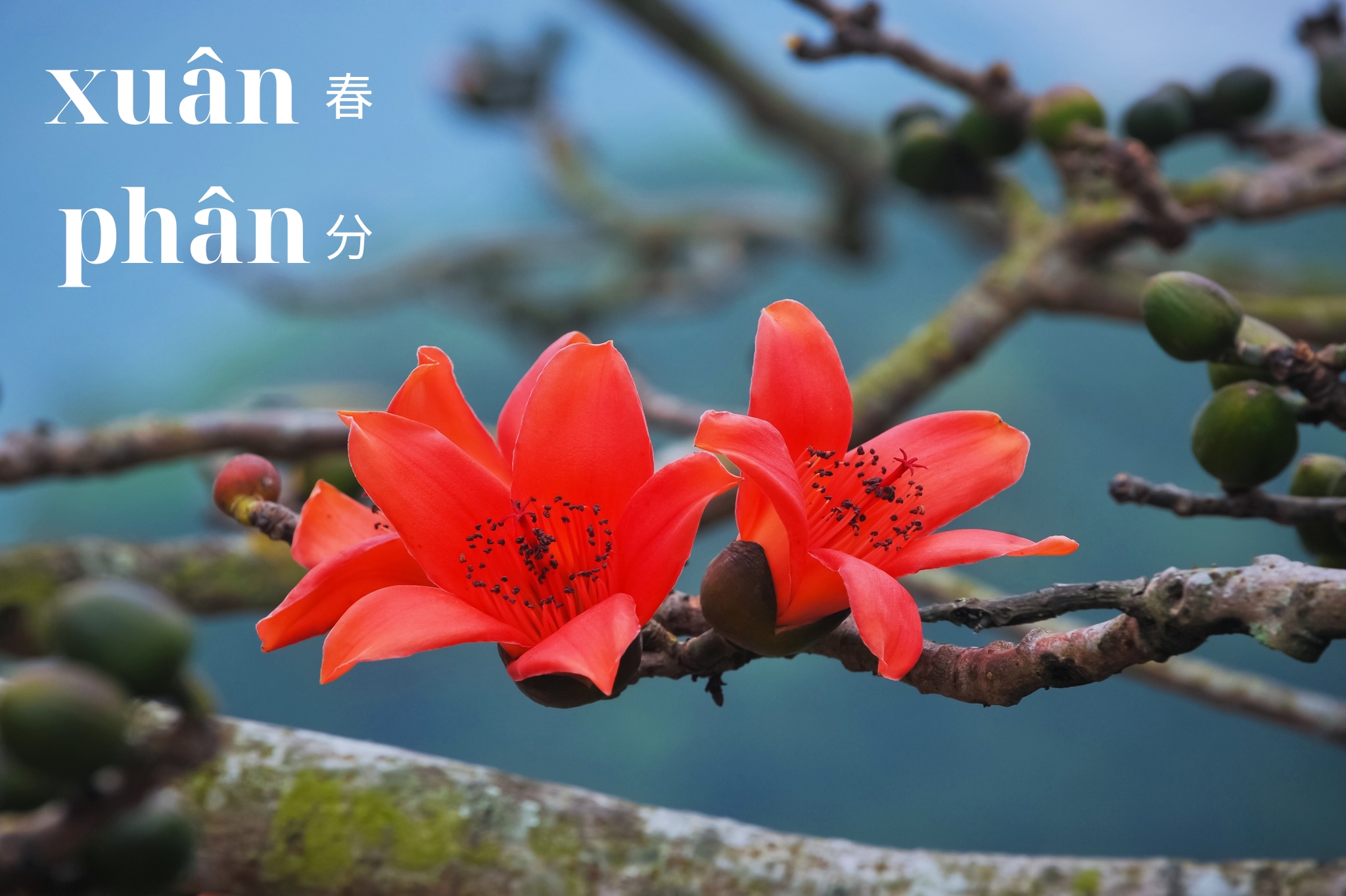 Khai Vận Trong Tiết Xuân Phân-2026